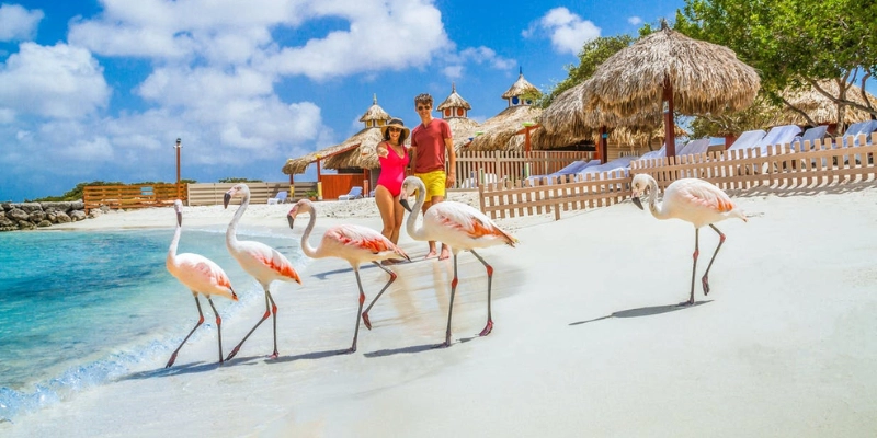 Alluring Aruba Vacation