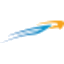 Southern Winds logo
