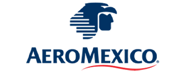 Airline Logo
